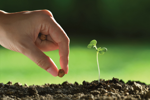 Llogari Kursimi 2023